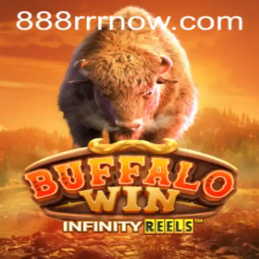 Discovering the Innovative World of BuffaloWin