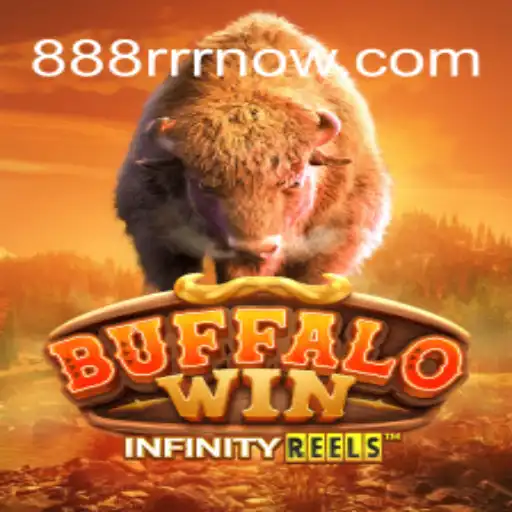 Discovering the Innovative World of BuffaloWin